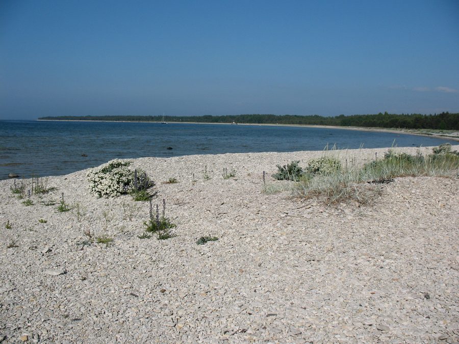 Paesaggio costiero presso la baia di Alliklepa