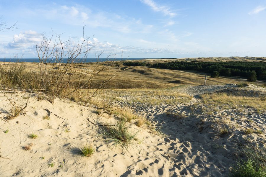 Paesaggio dunare della Penisola di Neringa sulla costa baltica della Lituania