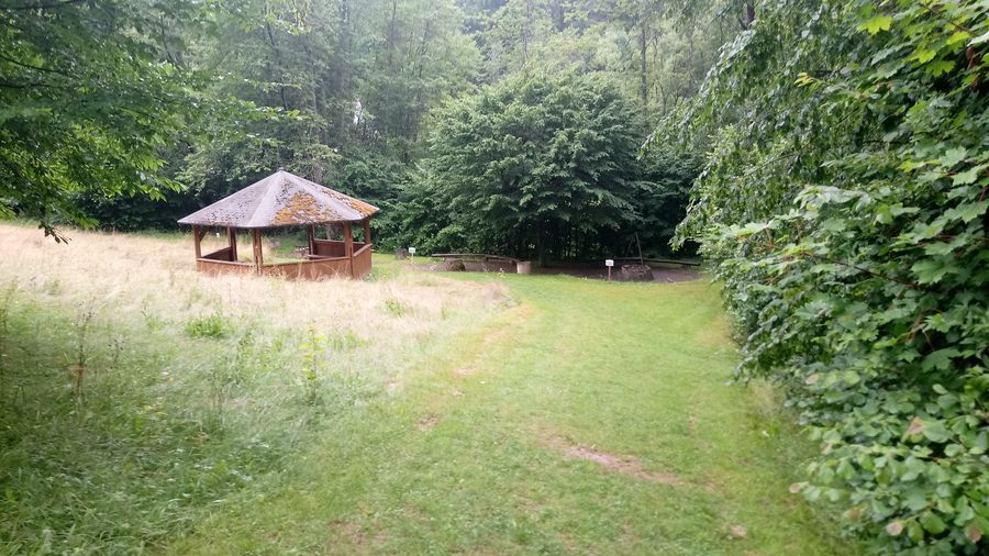 Area barbecue nella Marsbachtal presso la Beuchertsmühle a Walldürn