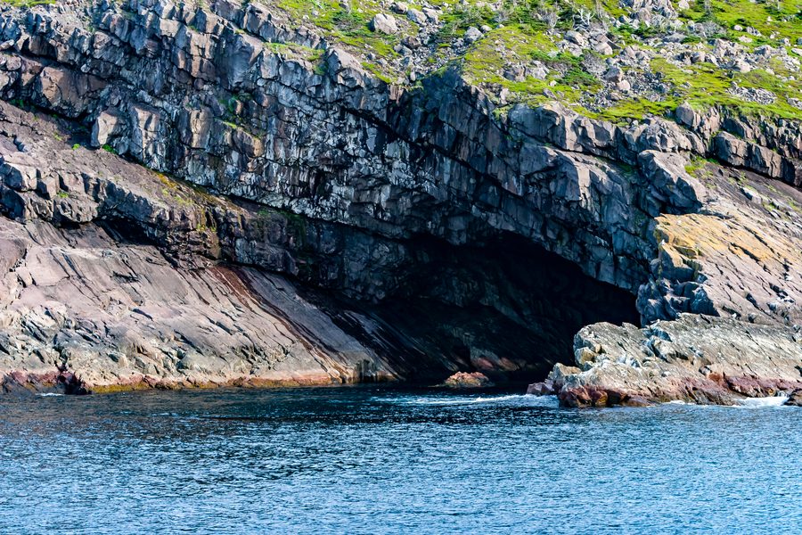 Costa rocciosa con mare e uccelli marini sulla penisola di Avalon presso St. John's