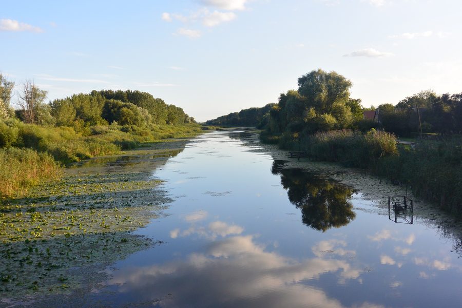 Il canale Ferenc presso Dávod tra Dávod e Dávod-Püspökpuszta