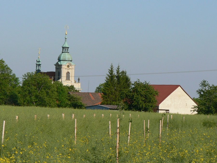 Chiesa di San Venceslao nel villaggio di Vysoká nel distretto di Mělník