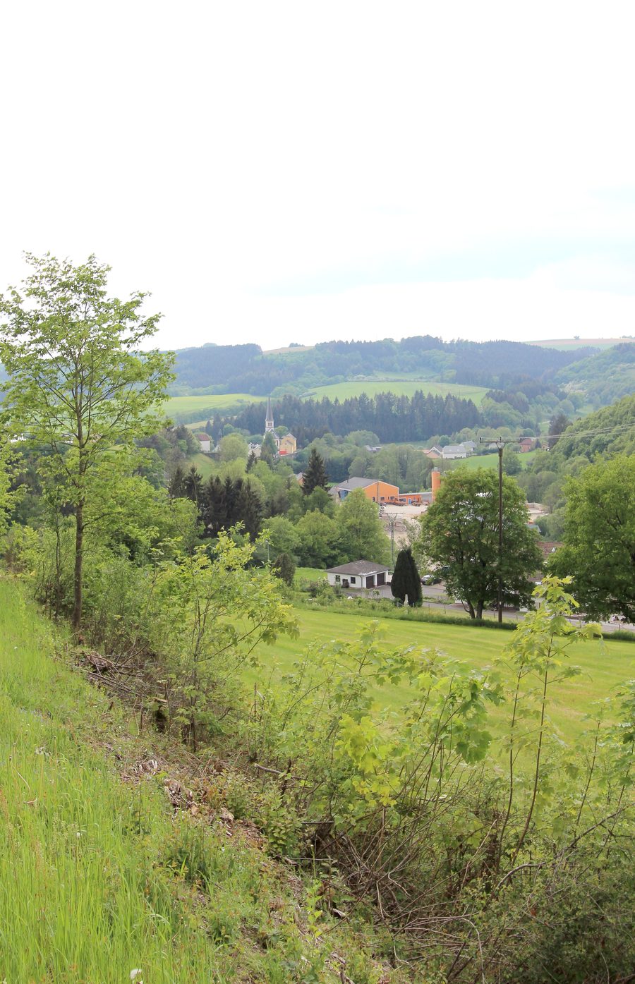 Vista panoramica sulla valle dell'Irsental presso Irrhausen nell'Eifel