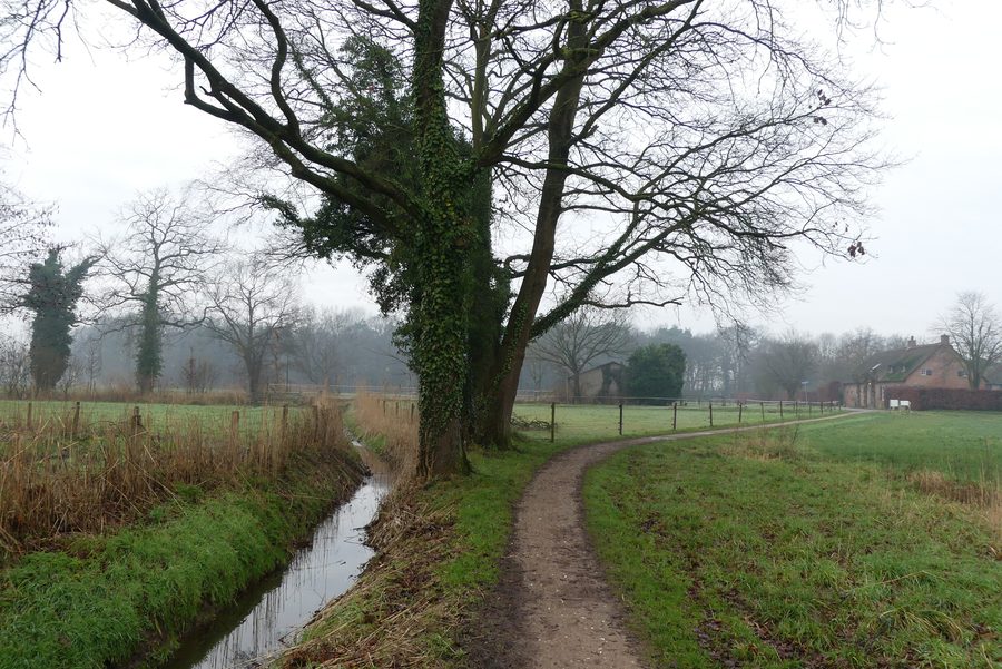 Area rurale di Chaam ad Alphen-Chaam