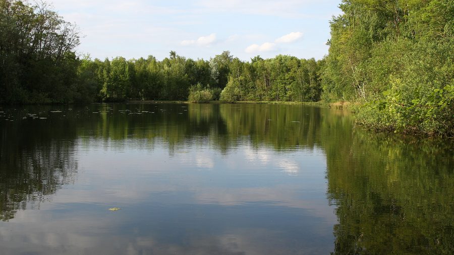 Area paesaggistica protetta Ellerstadter Weiher nel distretto di Bad Dürkheim in Renania-Palatinato