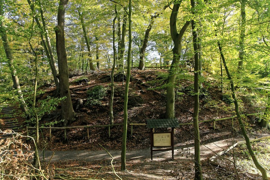 Collina 1 del castello di Elmendorf nell’area protetta di Dreibergen