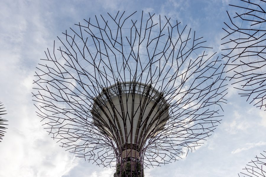 Supertrees a Gardens by the Bay a Singapore