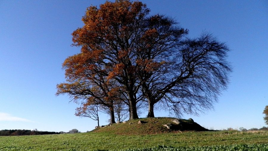 Dolmen lungo neolitico di Løkkeby a Langeland