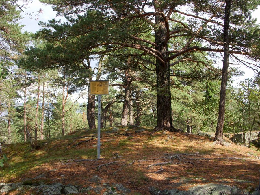 Tumulo funerario dell'età del bronzo lungo il percorso culturale di Hallunda a Botkyrka