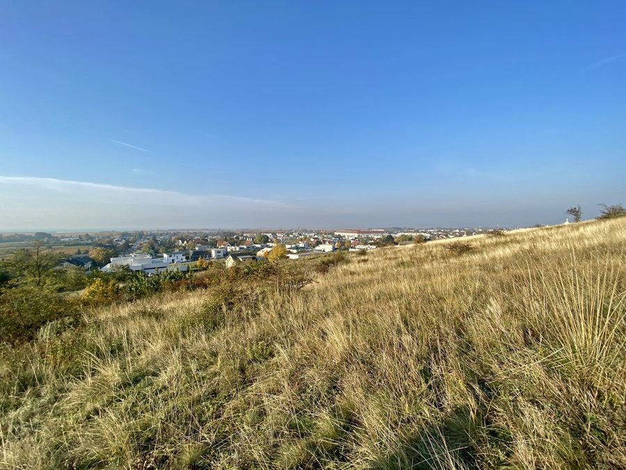 Vista dal Kalvarienberg sul centro di Neusiedl am See