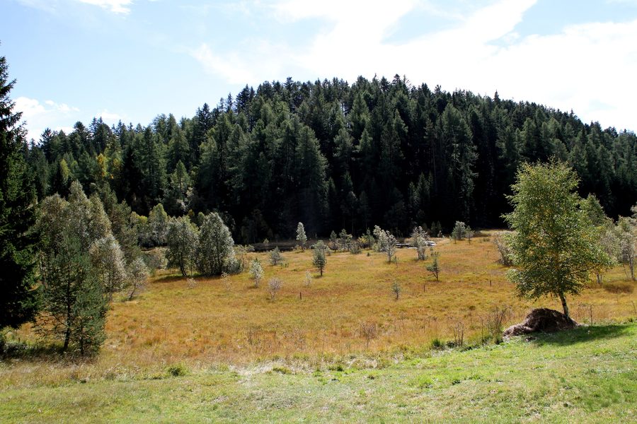 Biotopo Langes Moos presso Altrei con area di interramento