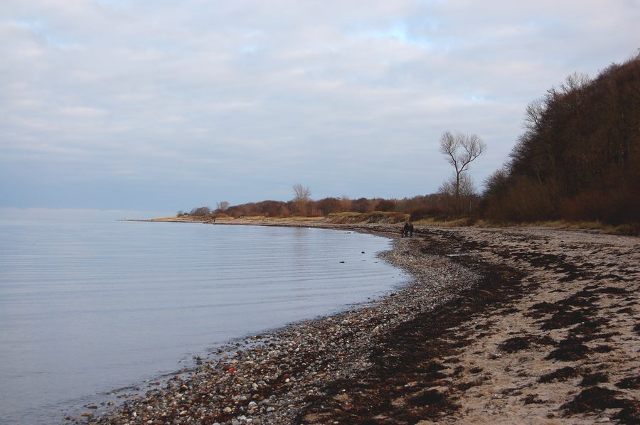 Falesia a Noer sulla baia di Eckernförde