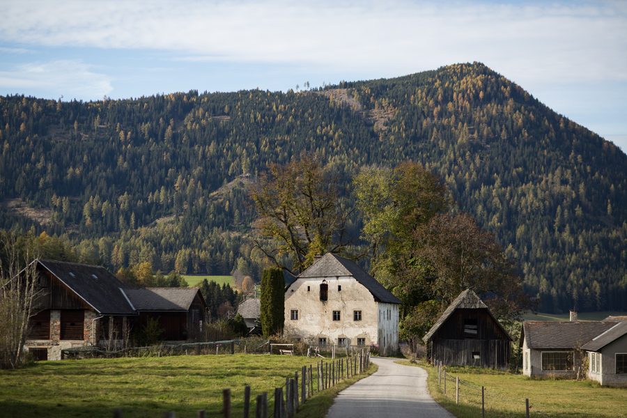 Gruppo di alberi presso Zeutschach, un monumento naturale in Stiria