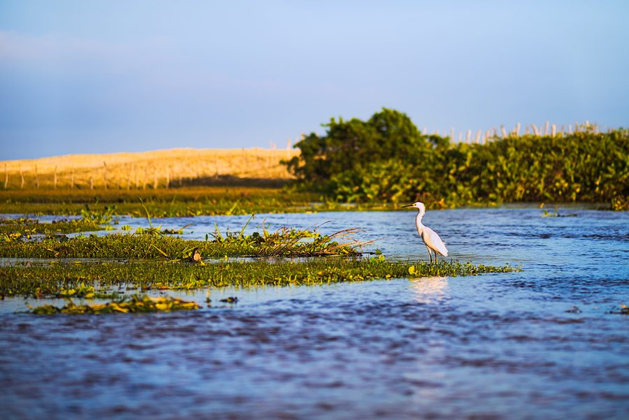 Paesaggio costiero nell'area protetta di Barra de Punaú presso Rio do Fogo