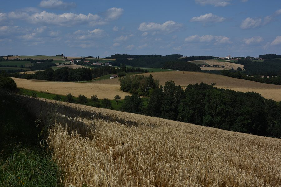 Chiesa parrocchiale e di pellegrinaggio Maria Schnee a Kaltenberg