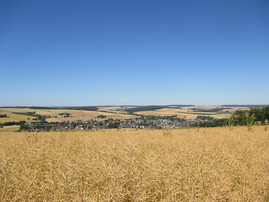 Paesaggio rurale presso Miehlen nel Taunus in Renania-Palatinato