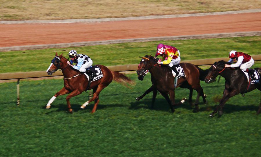 Tre cavalli in corsa alle Rosehill Races