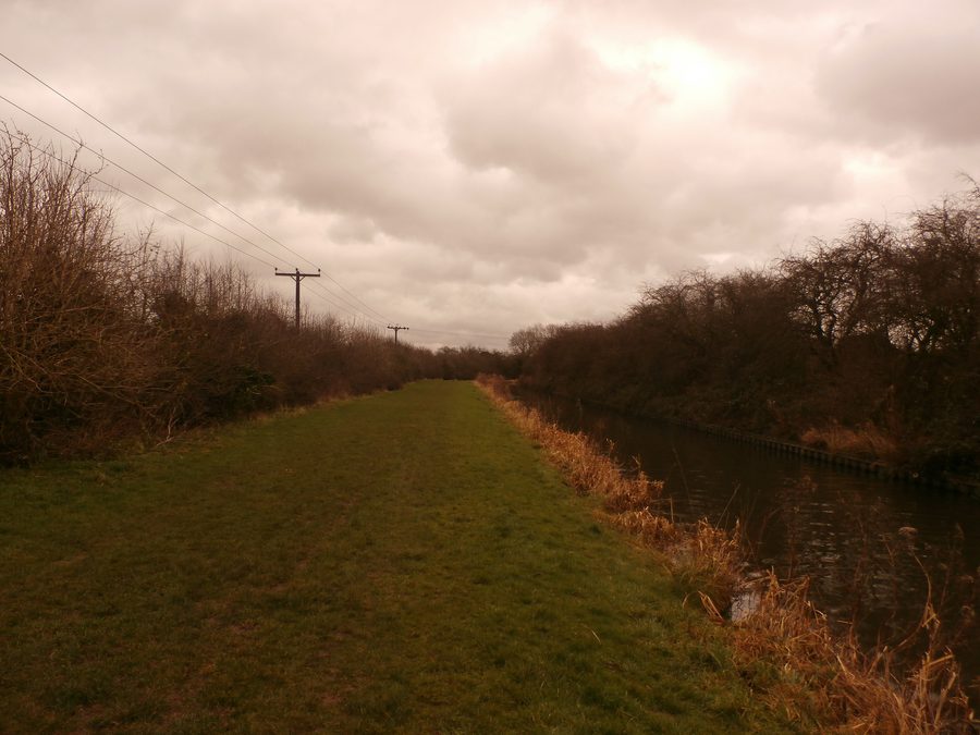Il Chesterfield Canal vicino a Misterton
