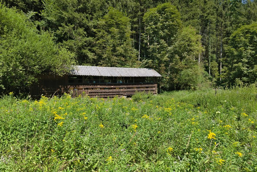 Valle del Weißenbach presso Reichraming in Alta Austria