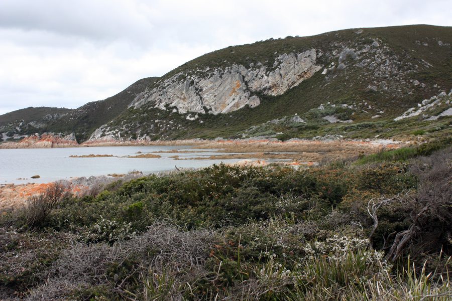 Paesaggio costiero nel Rocky Cape National Park in Tasmania