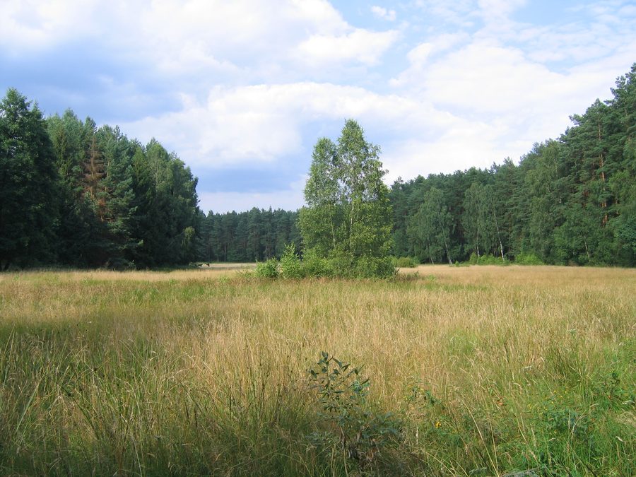 Parco paesaggistico di Brodnica presso il lago Zbiczno