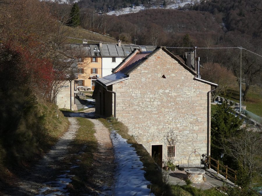 Uno scorcio di Merli a Bosco Chiesanuova, Veneto, Italia