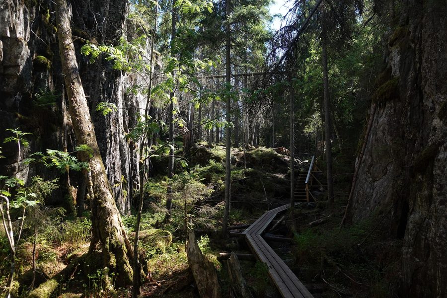 Gola di Orinoro nei pressi di Leppävirta