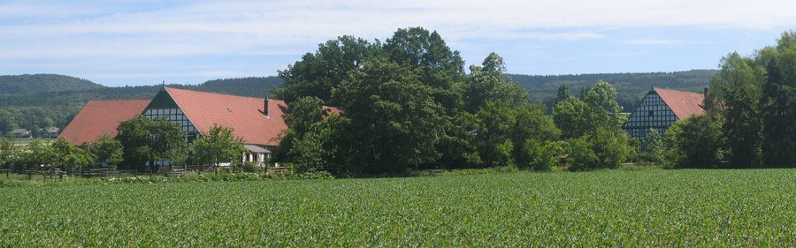 Vista panoramica del Wiehengebirge a Lübbecke, Renania Settentrionale-Vestfalia