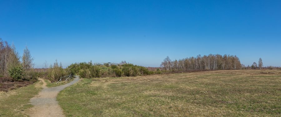 Paesaggio nell'area naturale protetta Drover Heide nel circondario di Düren