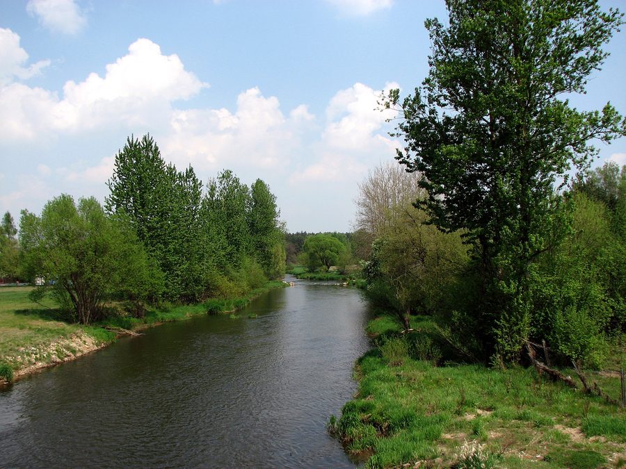 Il fiume Liswarta visto da un ponte a Popów, voivodato della Slesia, Polonia