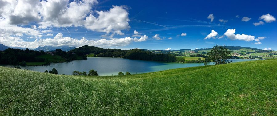 Paesaggio sul Lac de la Gruyère con lago, riva e Alpi