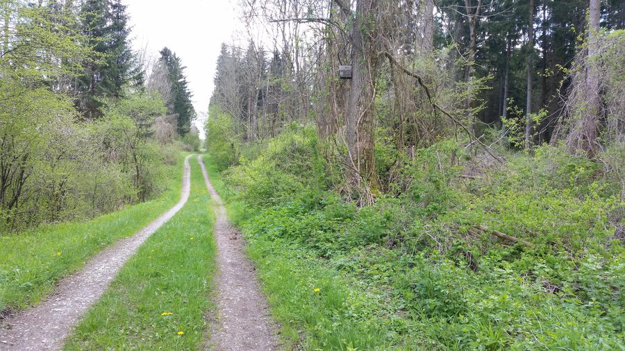 Valli della Wertach nel distretto dell’Unterallgäu con vista sulla riva orientale della Wertach verso sud