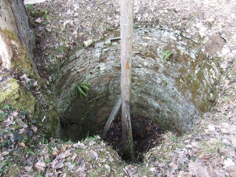 Storica fossa per lupi nel Centro di esperienza del bosco di Schernfeld