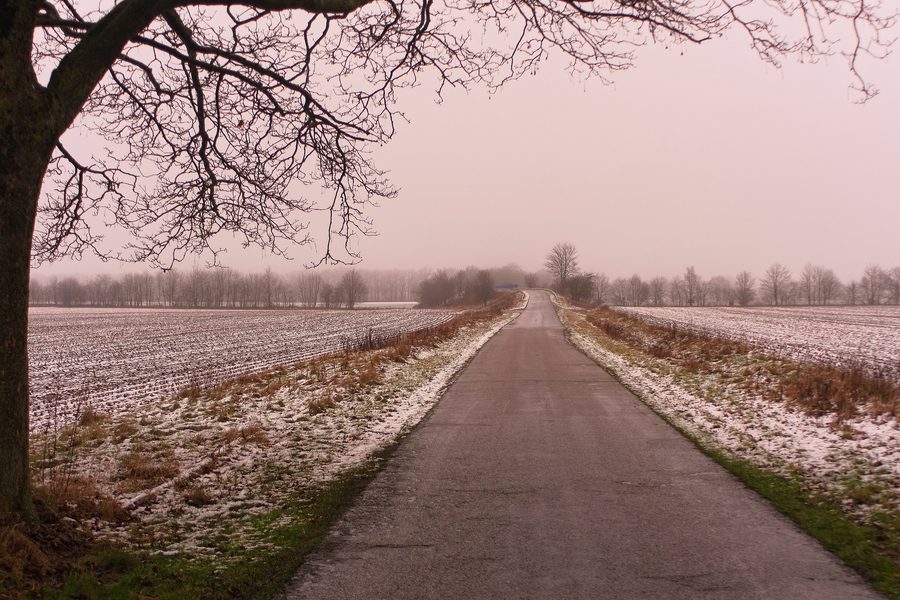 Paesaggio invernale presso Tarbek nel circondario di Segeberg nello Schleswig-Holstein