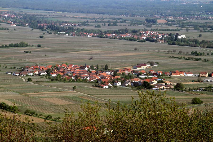 Vista dalla cappella di Sant'Anna su Flemlingen e i vigneti