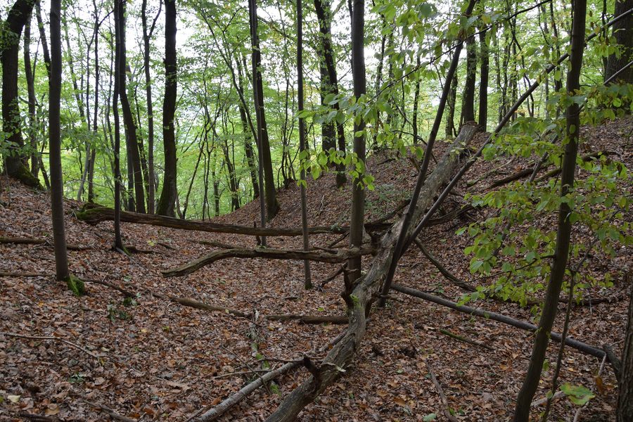 Fossato di un castello minore sul sentiero escursionistico carsico nell'Altro Stolberg