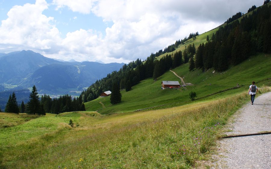 Pascoli alpini e paesaggio montano nel Bregenzerwald nell’area di Bezau–Reuthe
