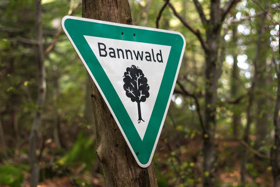 Cartello di bosco protetto in un tratto di foresta presso il Frau-Holle-Teich sull’Hoher Meißner