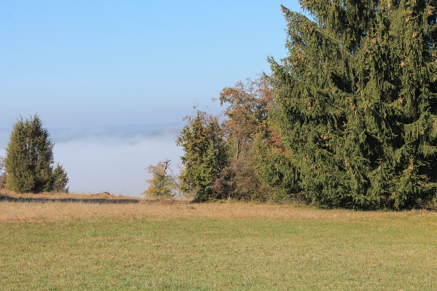Vista sul bacino di Steinheim presso Steinheim am Albuch con brughiera di ginepri in autunno