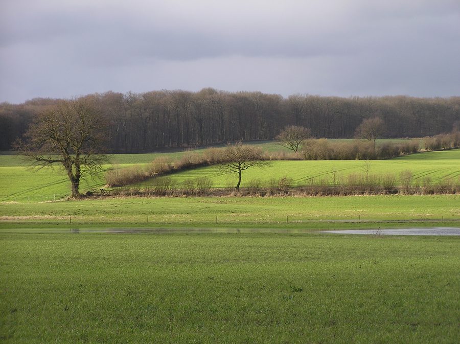 Paesaggio a siepi presso Köthel con la Bille tra Stormarn e Herzogtum Lauenburg