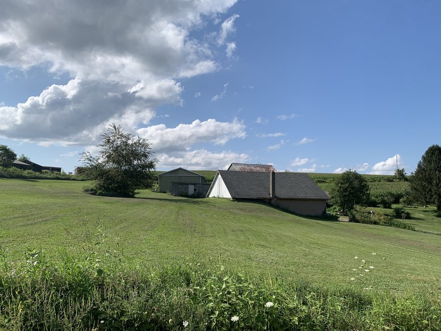 Vista del paesaggio da Picnic Grove Road a Numidia, Pennsylvania