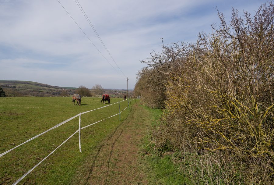 South Downs Way con vista verso Alfriston nell'East Sussex