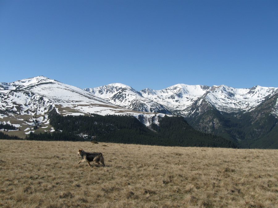 Vista sulla cresta principale dei monti Parâng in Romania