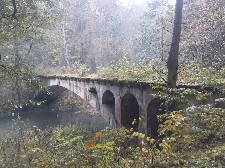Ponte nella brughiera di Rominta
