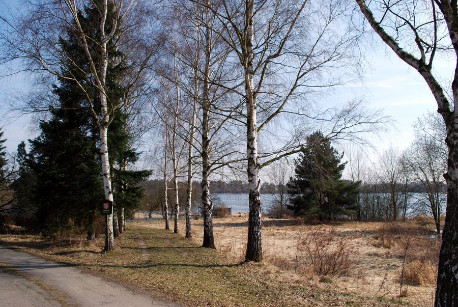 Paesaggio di stagni presso il Ponědražský rybník vicino a Ponedraz