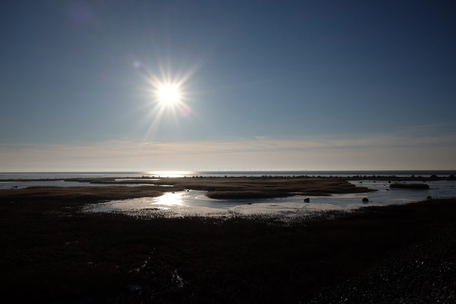 Vista sull'Öresund verso Bunkeflo strandängar e Bunkeflostrand