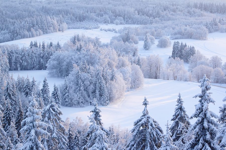 Altopiano di Haanja in inverno, visto dalla torre panoramica sul Suur Munamägi