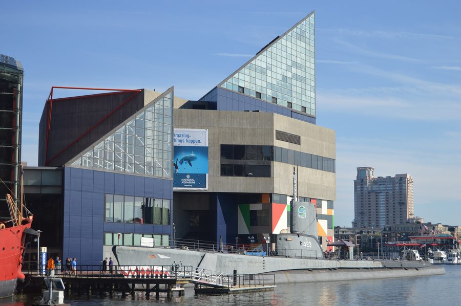National Aquarium a Baltimore all’Inner Harbor