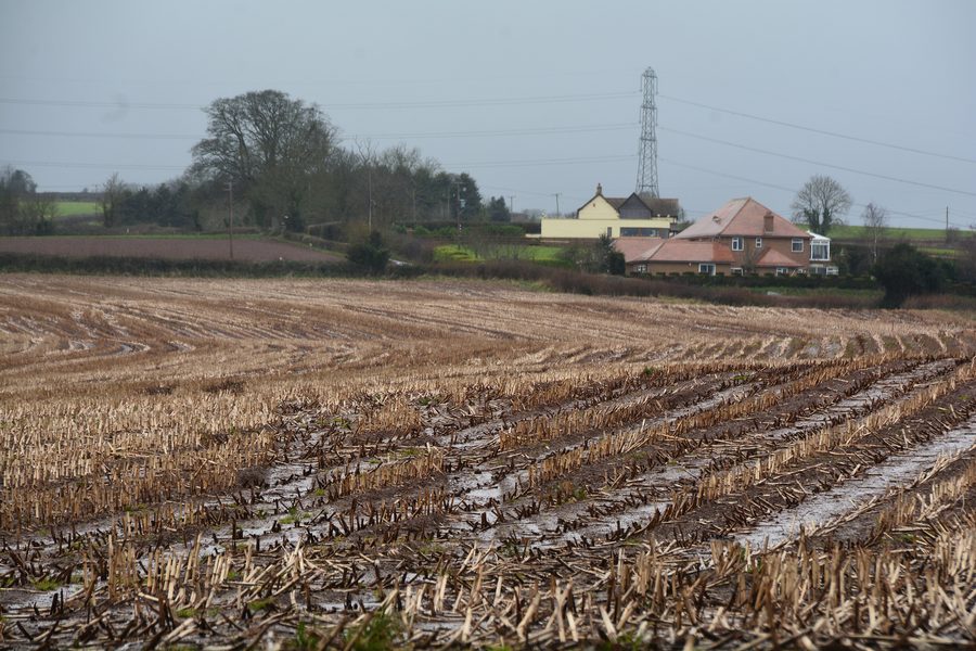 Campo vicino a North Petherton