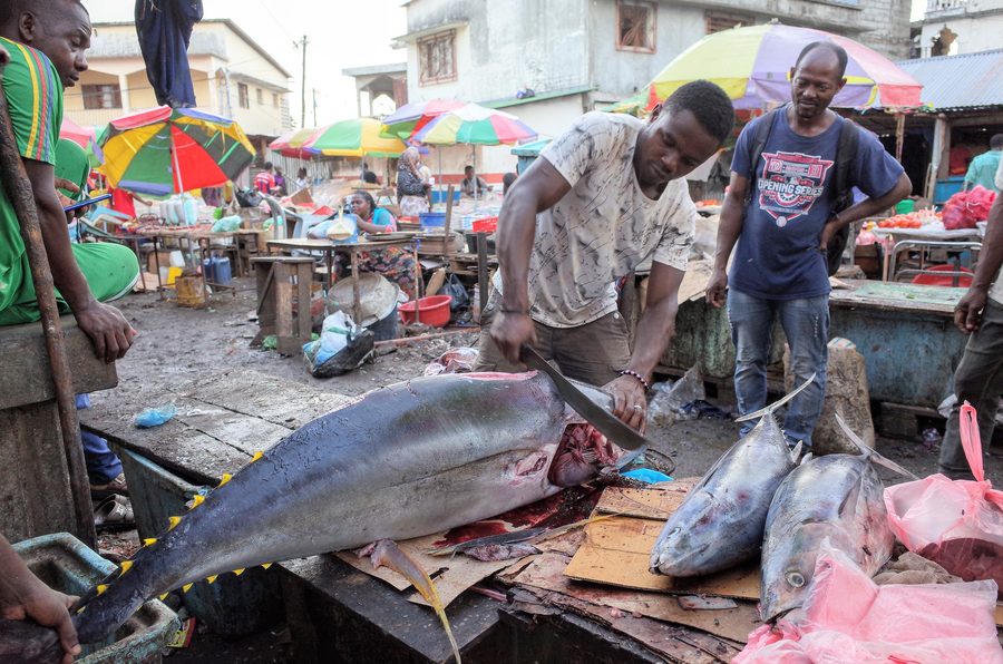 Vendita di pesce in un mercato delle Comore